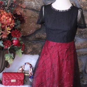 Studded Pearls Lace Dress